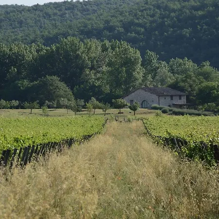 Holiday home Pinturicchio Castelnuovo Berardenga